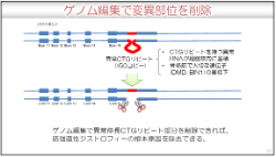 Genome editing removes mutated sites